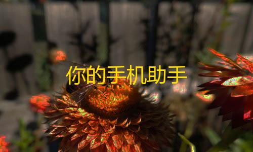 外挂封号名单你的手机助手